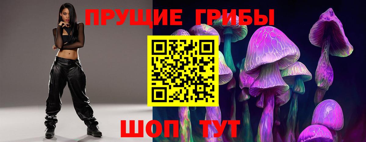 Галлюциногенные грибы GOLDEN TEACHER  купить наркоту  Старая Купавна  Вход с VPN  Псилоцибиновые грибы прущие грибы 